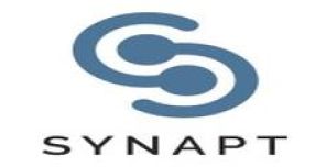 Synapt Holdings (Pty) Ltd