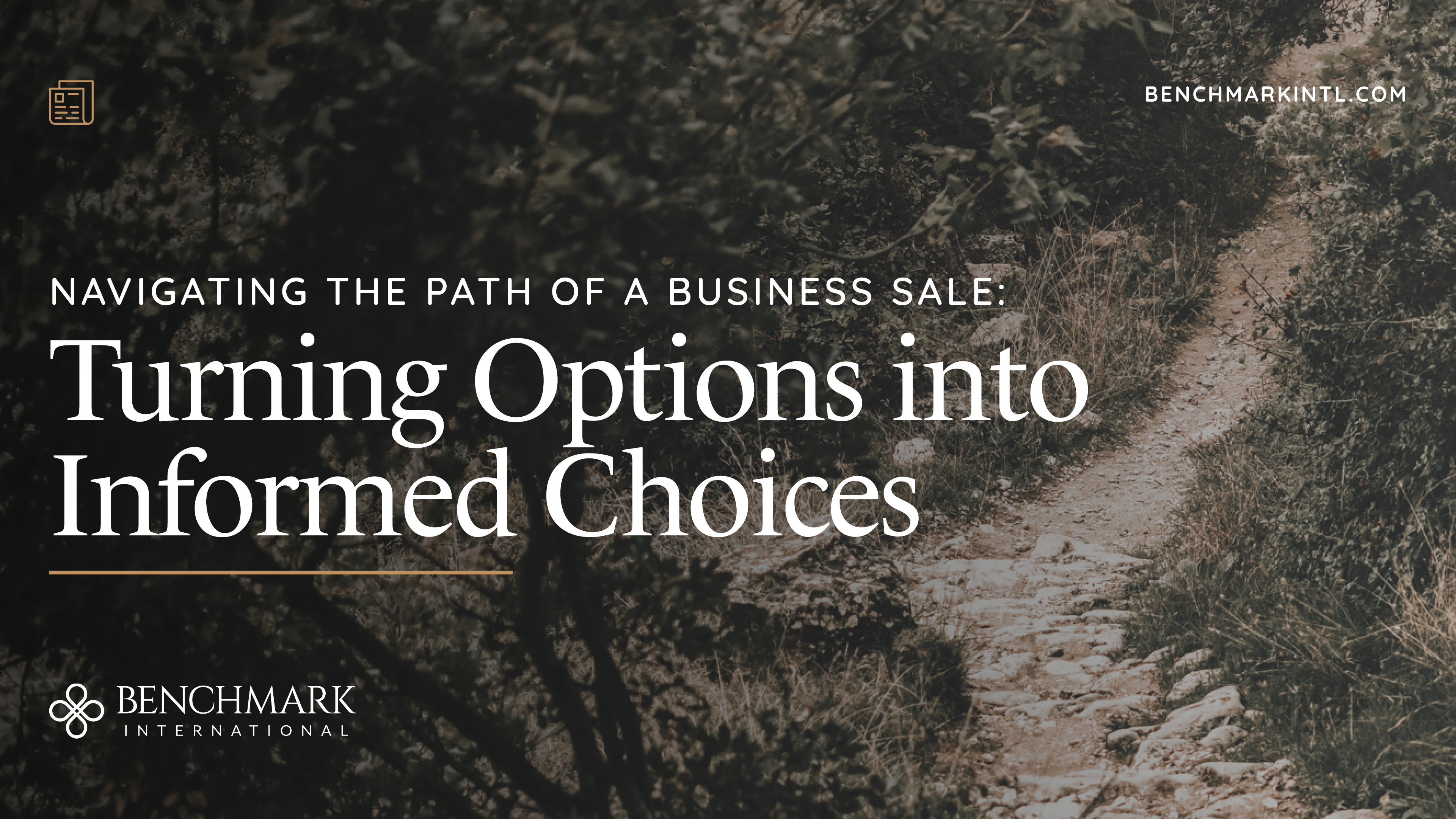 Navigating The Path Of A Business Sale: Turning Options Into Informed ...